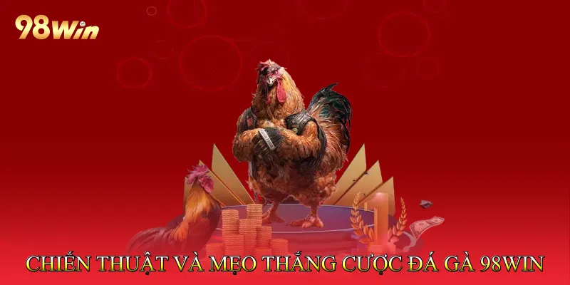 Chiến thuật và mẹo thắng cược Đá gà 98Win